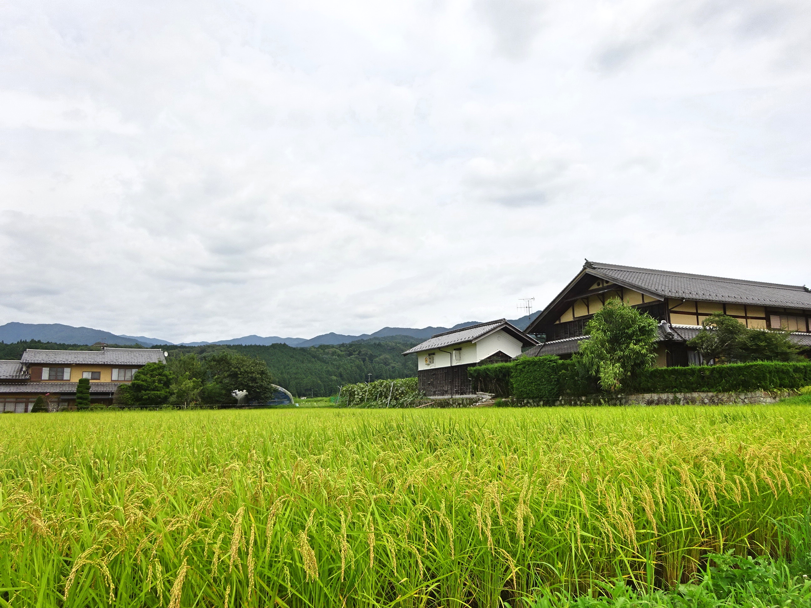 岩村城がきっかけで出来た二つの景観 日本歴史旅行協会