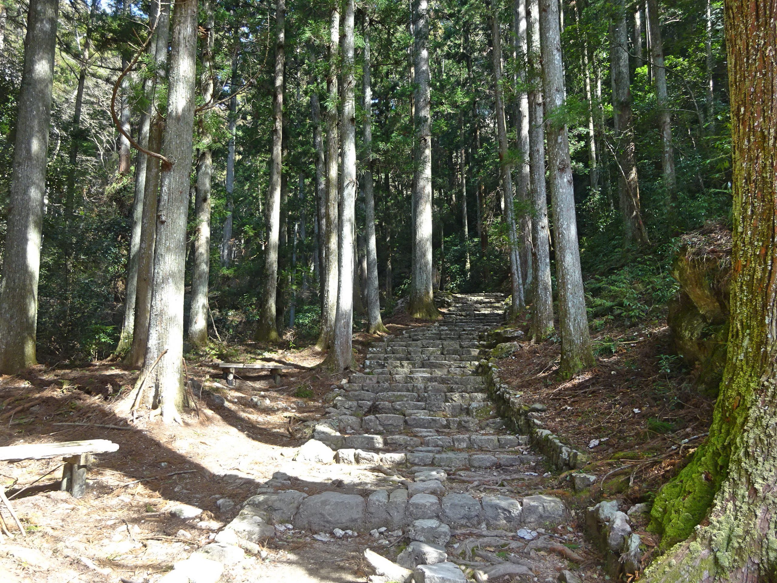 鳳来寺山に住む鳥との関わりが深い「鳳来寺」と「鳳来山東照宮」 日本歴史旅行協会